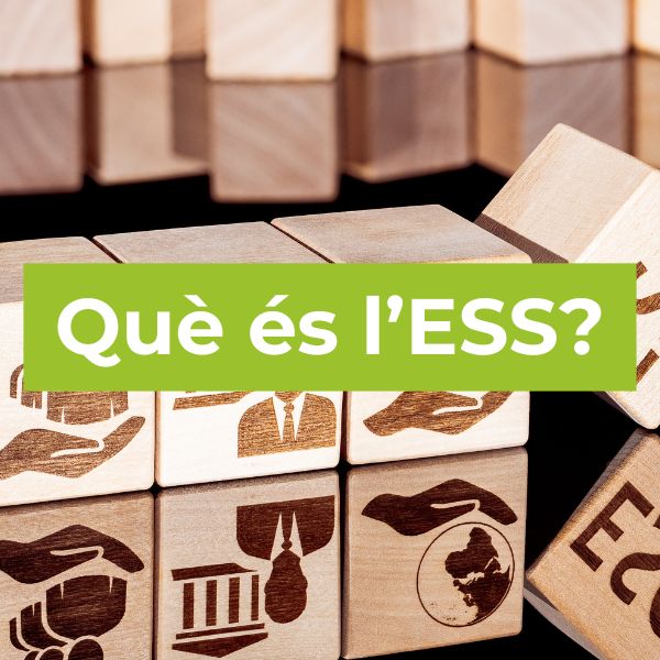 Què és l'ESS?